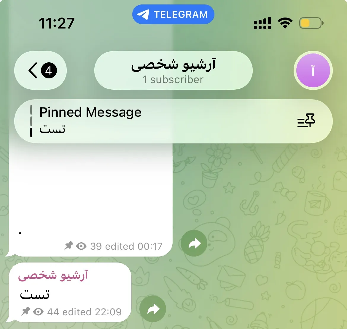 کانال خصوصی تلگرام با یک عضو که پیام سنجاق‌شده‌اش ۴۴ بازدید خورده